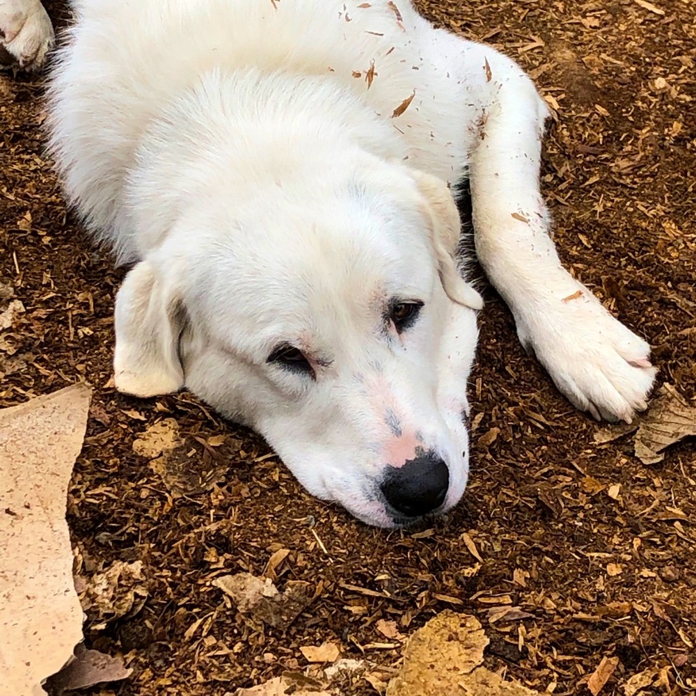 Meet your Posher, Jessa